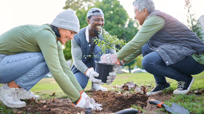 A community garden charity plants trees