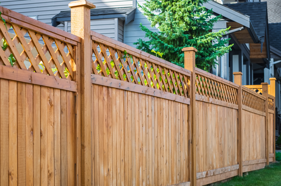A fence marks the border of a property