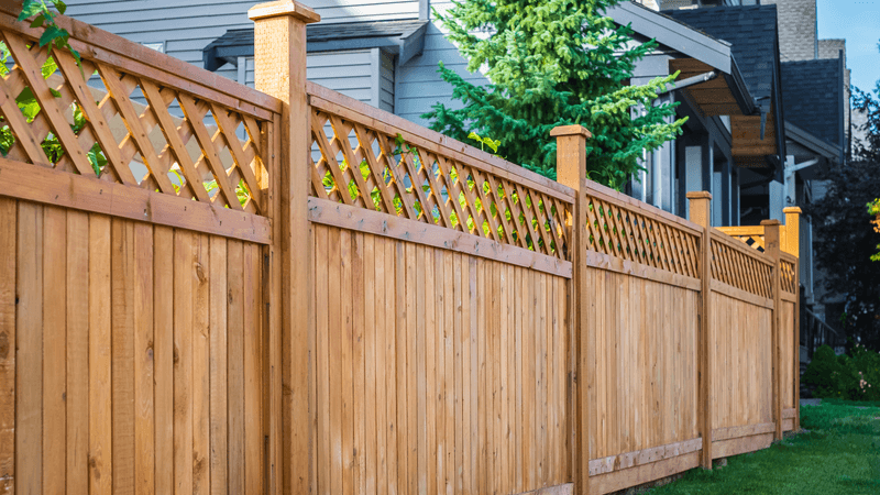 A fence marks the border of a property