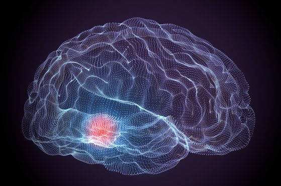 A digital illustration of a human brain in a wireframe style with a glowing red area on the lower left side, set against a dark background.