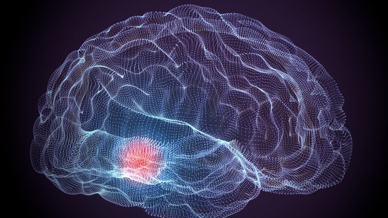 A digital illustration of a human brain in a wireframe style with a glowing red area on the lower left side, set against a dark background.