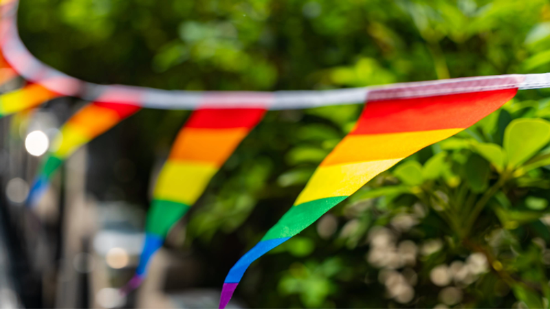 Colourful rainbow triangular flags hanging outdoors with green foliage in the background.