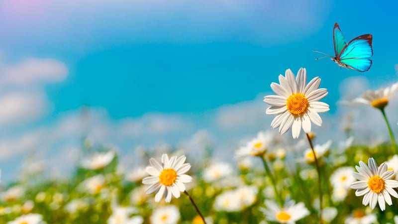 Can we take the North to Net Zero Why 2024 could be the year of the B Corp