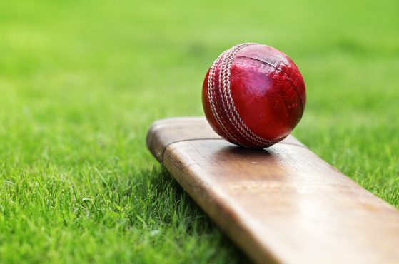 A red cricket ball with white stitching resting on a wooden cricket bat on a grassy field.