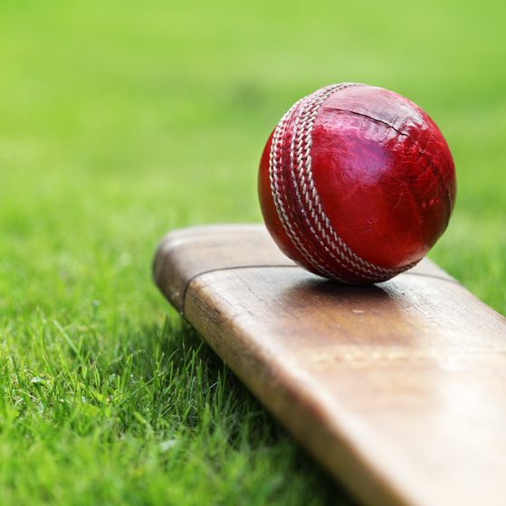 A red cricket ball with white stitching resting on a wooden cricket bat on a grassy field.