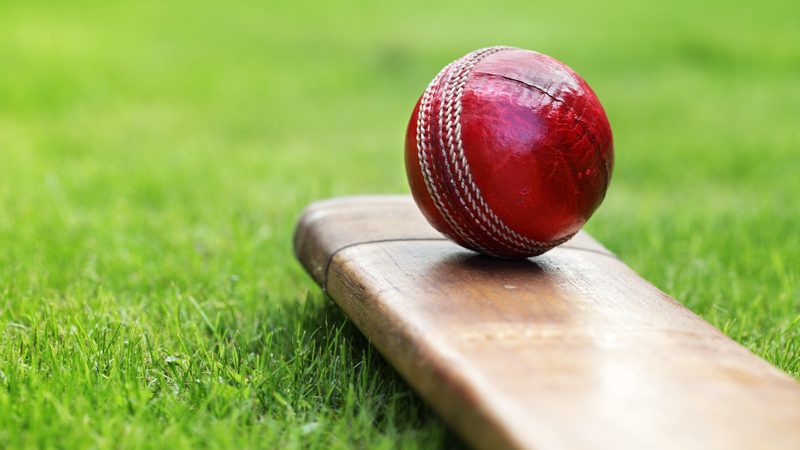 A red cricket ball with white stitching resting on a wooden cricket bat on a grassy field.