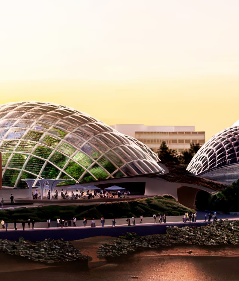 Eden Project Morecambe