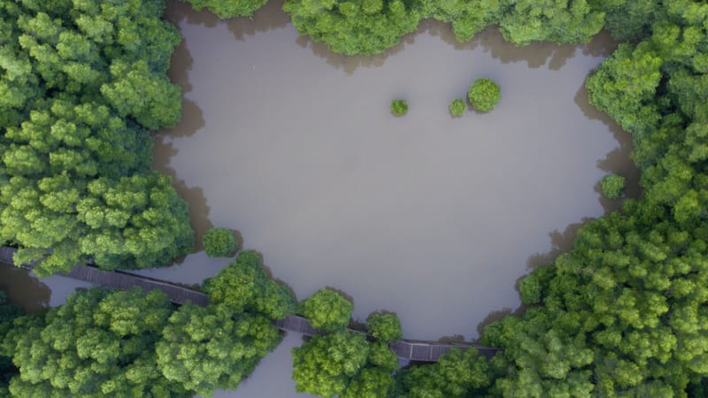 Five learning points for green advertisements following ASA greenwashing decisions