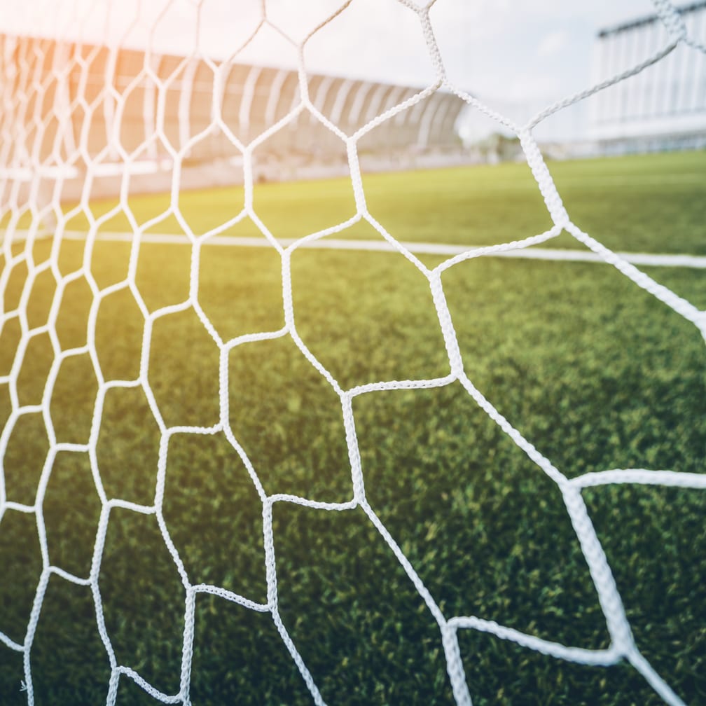 Football goal net and pitch
