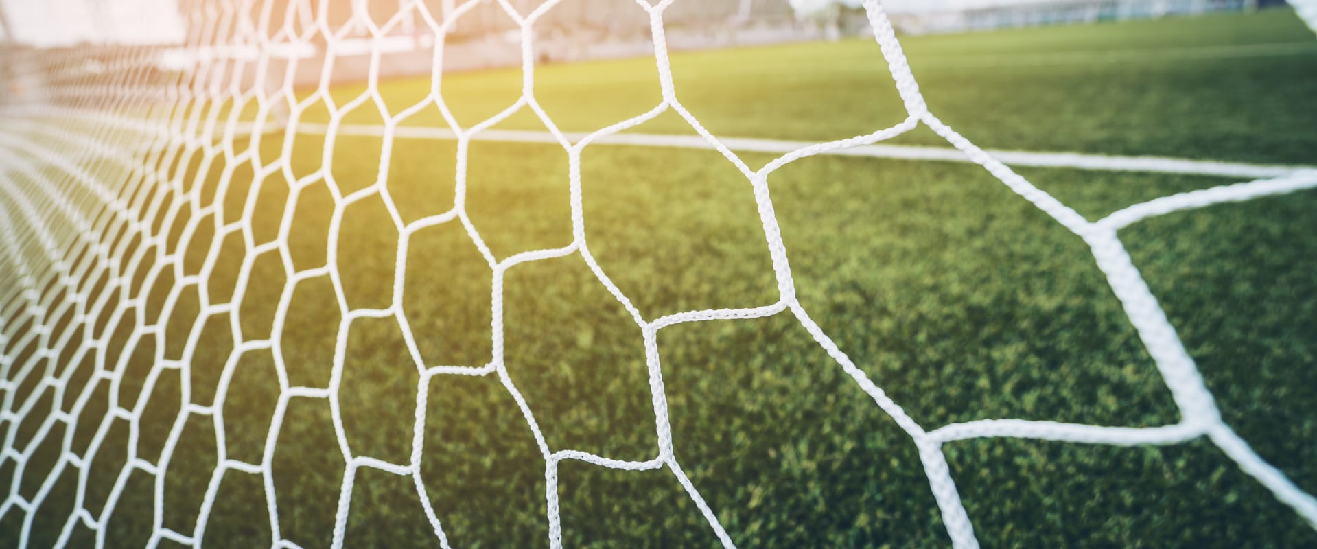 Football goal net and pitch