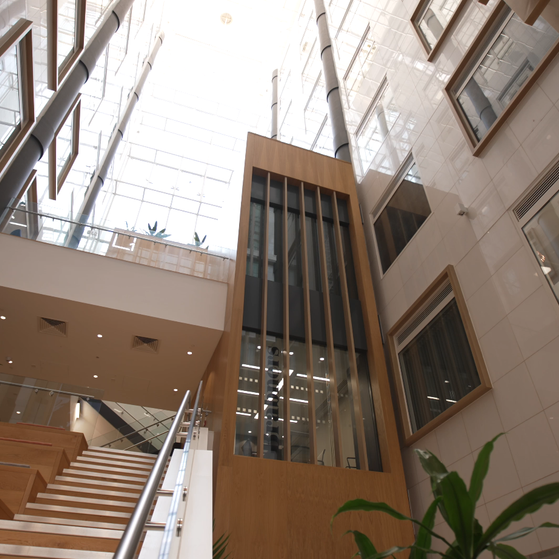 A modern indoor atrium with a glass ceiling, featuring wooden staircase, framed windows on walls, and a central glass-enclosed elevator shaft.
