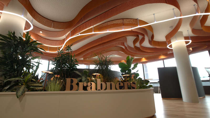Interior of a modern, stylish office or lounge area with a wavy wooden ceiling, green plants in a white planter, and large windows allowing natural light.