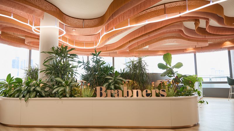 Modern lobby with a curved white planter filled with lush green plants, pink fabric ribbons on the ceiling and circular lights, and large windows behind with a Brabners sign.