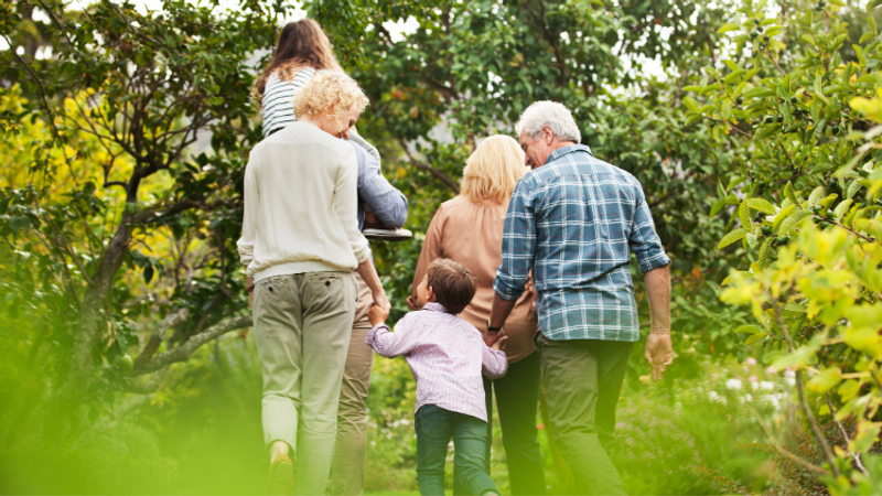 Group of people walking through a lush garden from behind, a child holds hands with adults as they stroll along a sunlit path among trees and greenery.