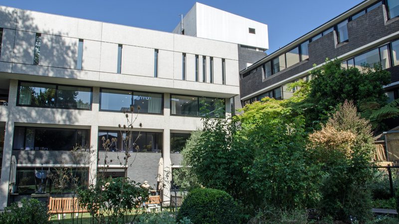 Modern apartment buildings with large windows, surrounded by lush green bushes and trees, under a clear blue sky.