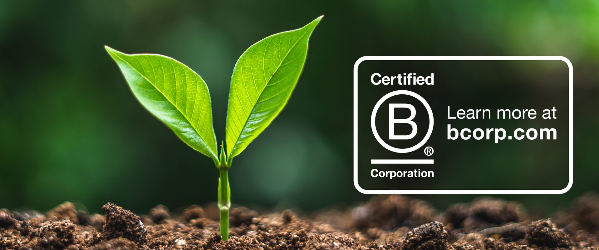 Sustainability plant in hands b corp logo edited