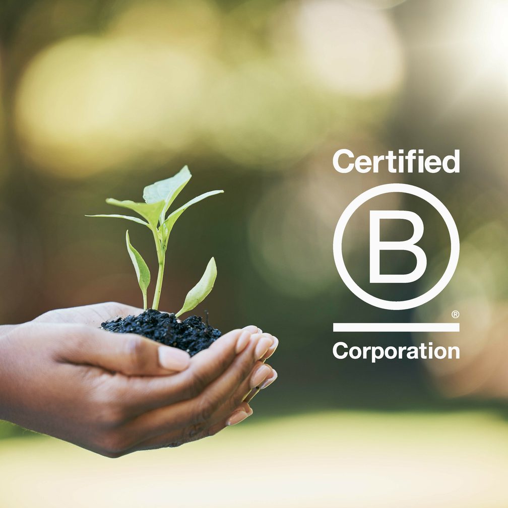 Sustainability plant in hands b corp logo edited