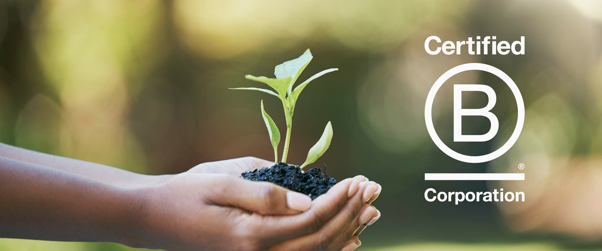 Sustainability plant in hands b corp logo edited