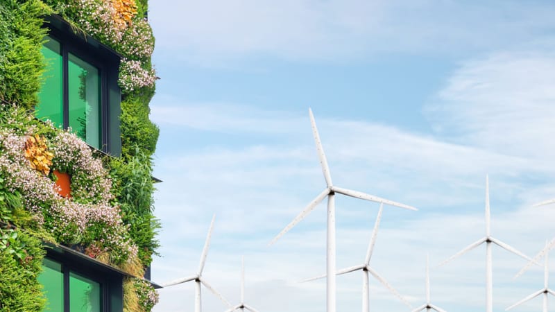 True North Embracing nature for resilient urban development