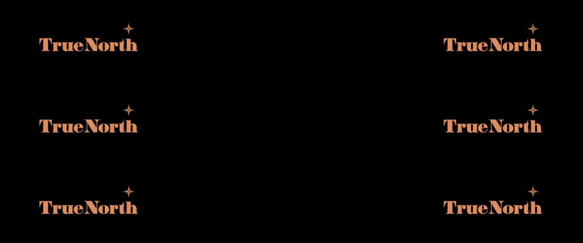 True North multi logo background