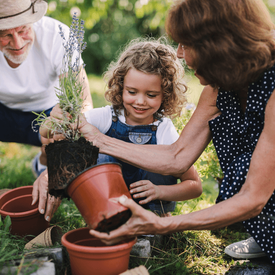 Grandparents teach their granddaughter gardening