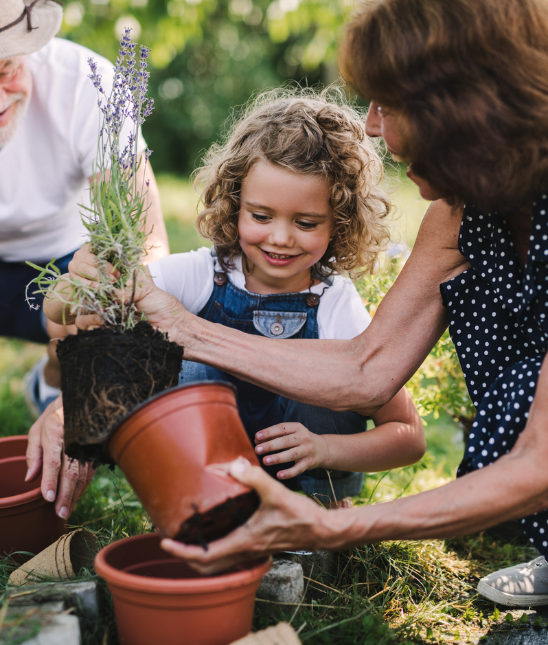 Grandparents teach their granddaughter gardening