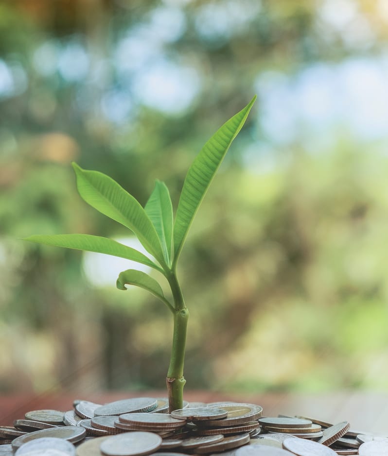 Plant shoot money