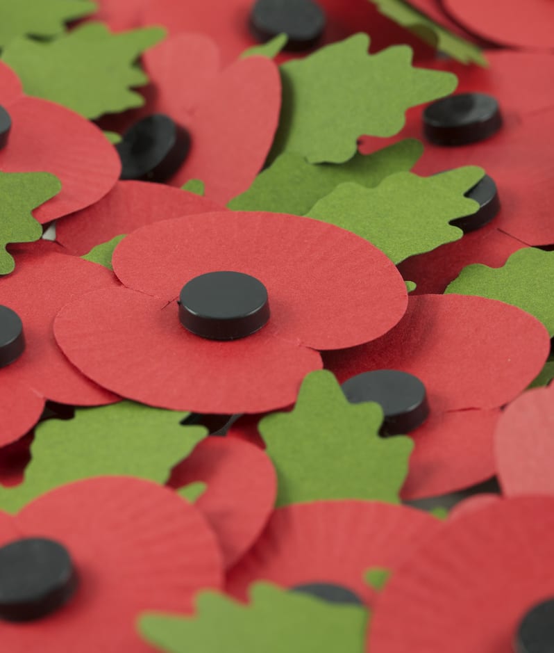 Poppies for poppy appeal
