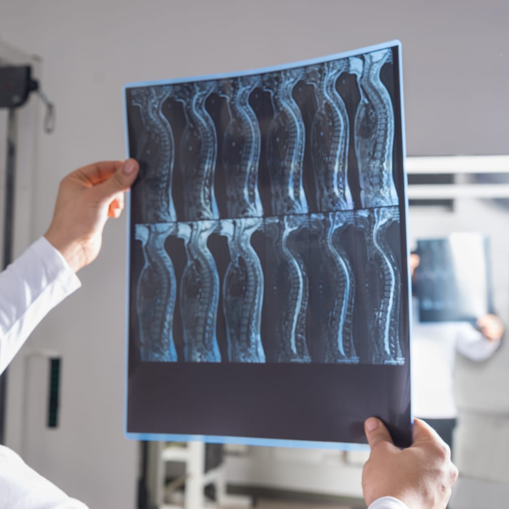 Shutterstock 1149639419