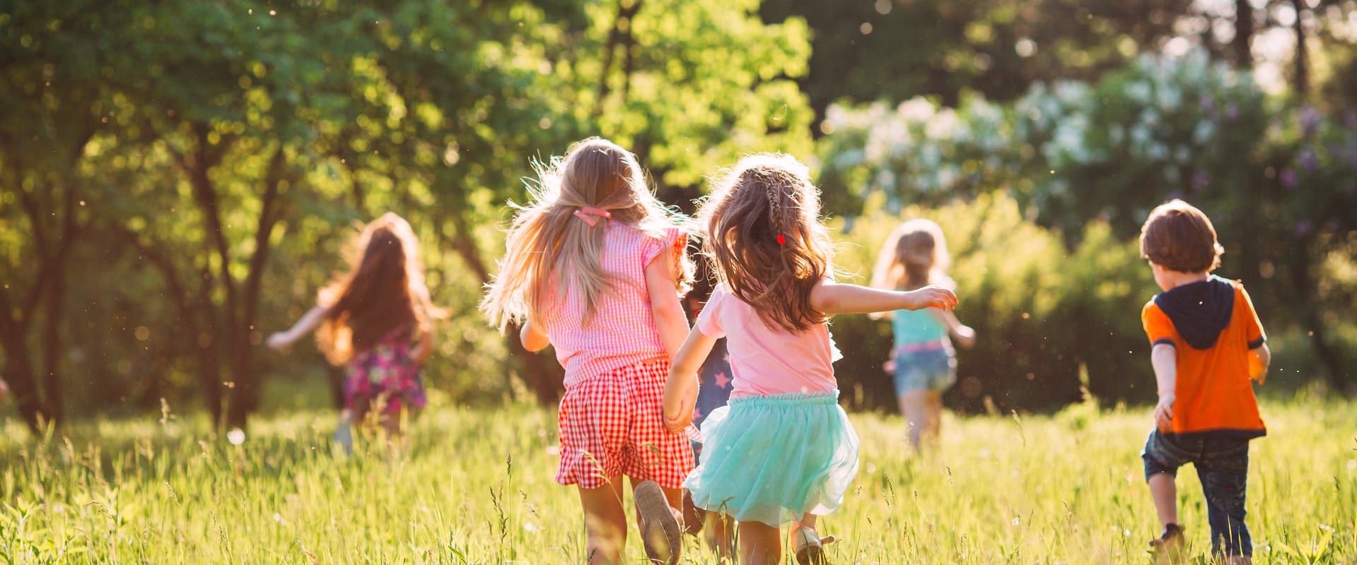 Children playing in the sunshine under a tree