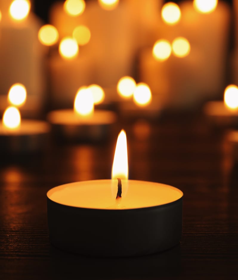 Shutterstock 1938558877