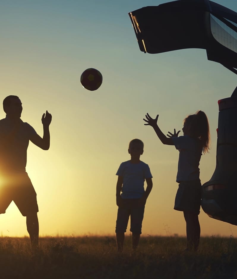 Shutterstock 2435389977