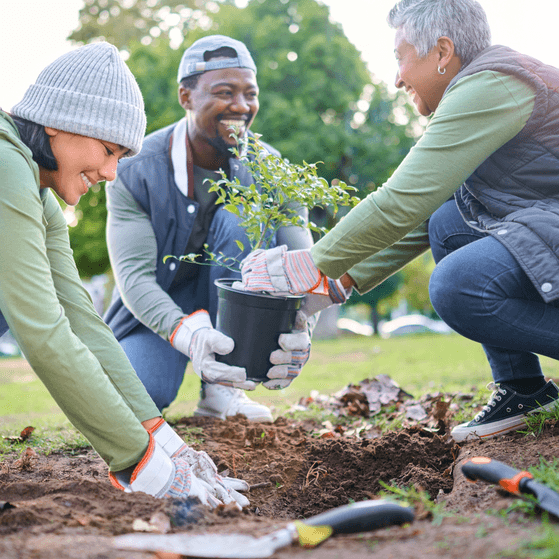 A community garden charity plants trees