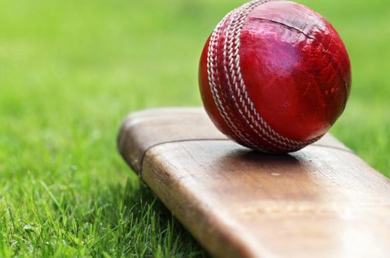 A cricket ball on a cricket bat