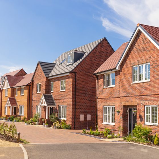 Adobe Stock 498696483