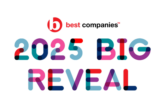 "2025 BIG REVEAL" in colourful, overlapping letters with a "best companies" logo above. The background is white.