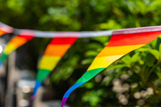 Rainbow pride flags hanging outdoors with green foliage in the background.