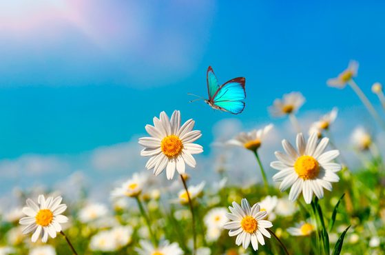 Can we take the North to Net Zero Why 2024 could be the year of the B Corp