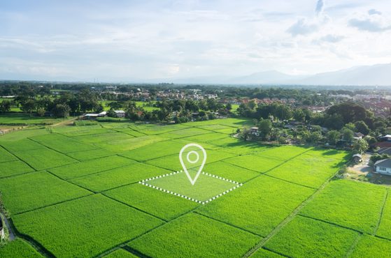 Context is key to considering a breach of director duties Humphrey v Bennett in the Court of Appeal