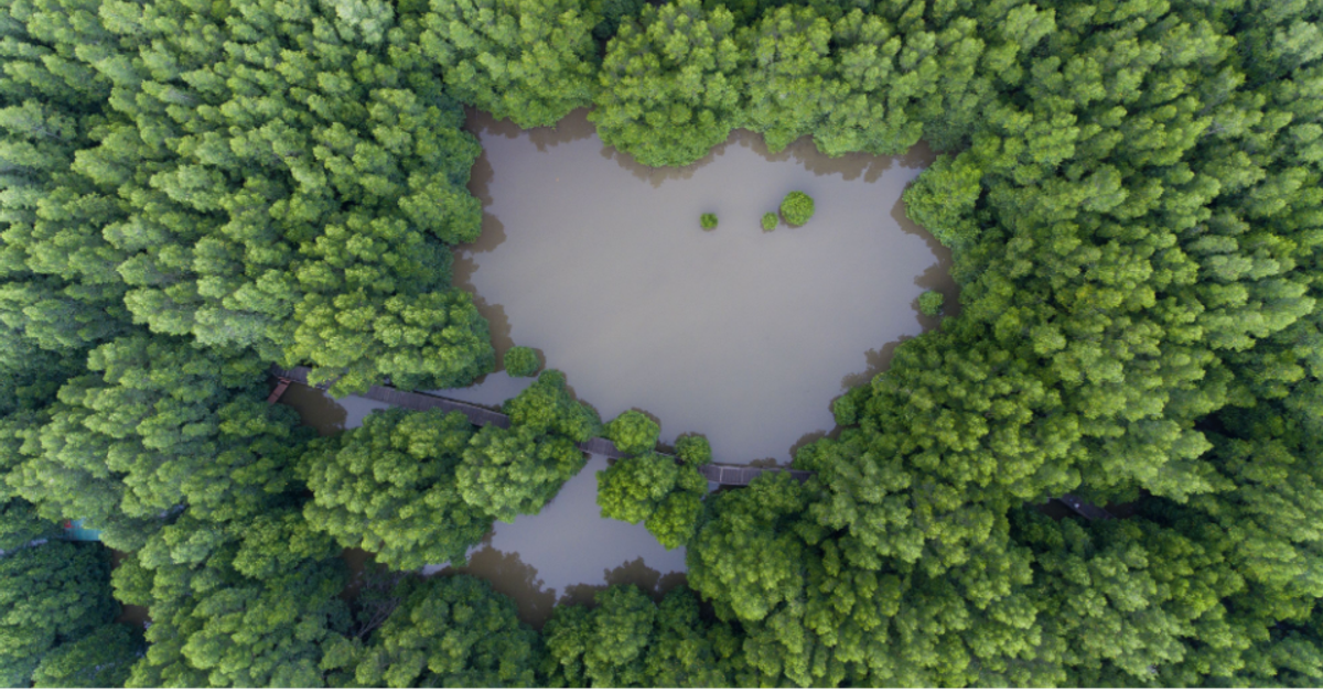 Example For A Green Add Five learning points for ‘green’ advertisements following ASA…