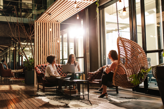 Three women are having a discussion in a modern, sunlit cafe with large windows, wooden flooring, and stylish furniture, including a hanging wicker chair.