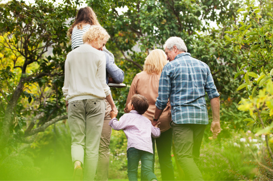 A group of adults and a child walk together through a sunlit garden, seen from behind, surrounded by lush trees and green foliage.