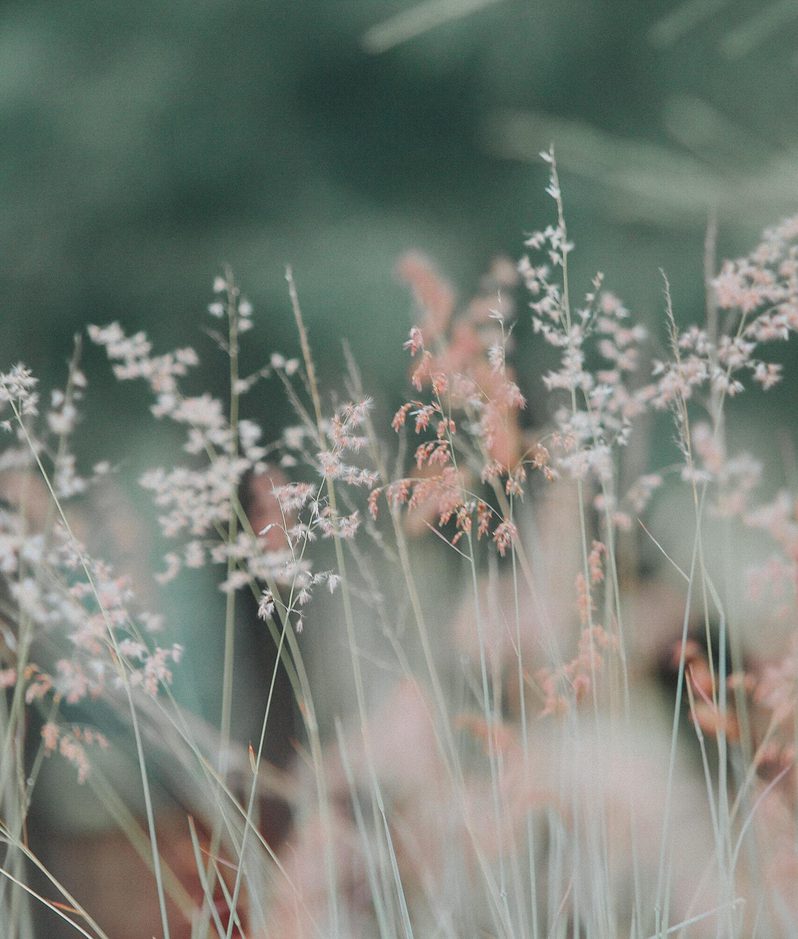 Probate Fees An Update