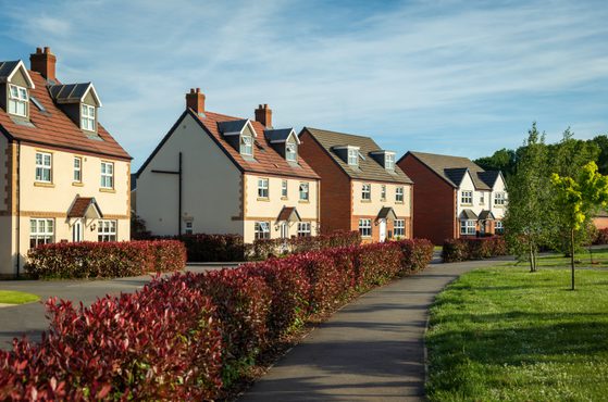 A row of modern houses with red and brown roofs, white and brick exteriors, set beside a pathway with red bushes and green grass under a partly cloudy sky.