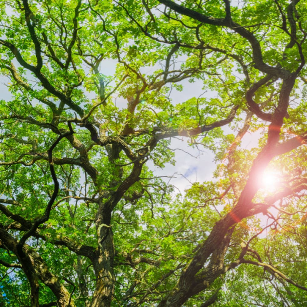 Student mental health workshops The Brabners Foundation UOK