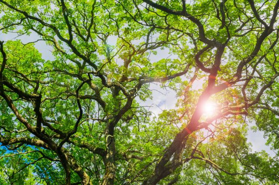 Student mental health workshops The Brabners Foundation UOK