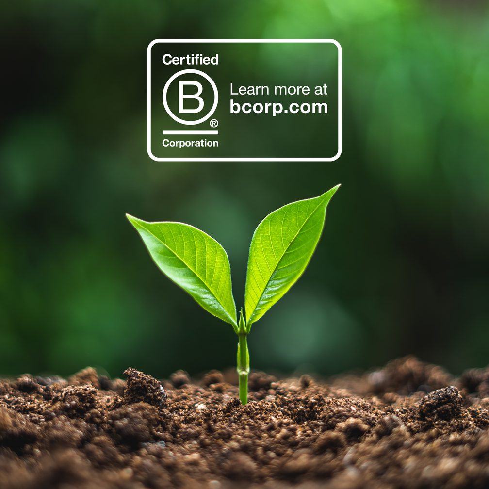 Small green seedling with two leaves rising from soil, bright green background blur, and a white Certified B Corporation logo overlay.