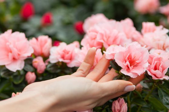 The Brabners Foundation donates over 25000 to local causes