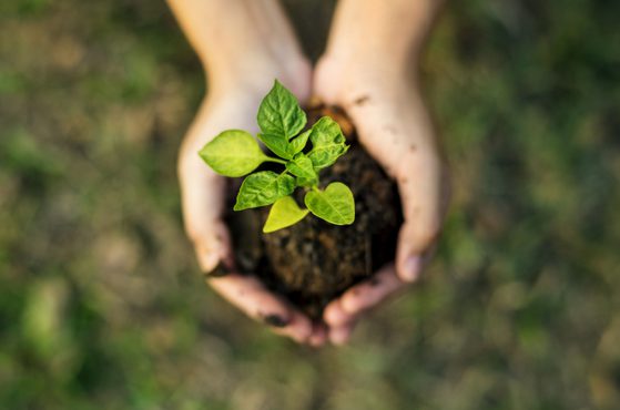 The practicalities of becoming a B Corp