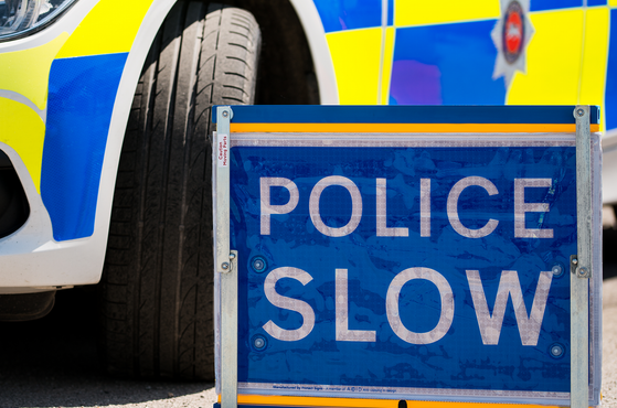 Tindall v Chief Constable of Thames Valley Police